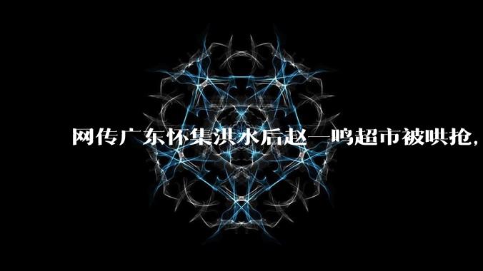 网传广东怀集洪水后赵一鸣超市被哄抢，县***回应相关单位正在核实，若属实哄抢者该承担哪些法律责任？