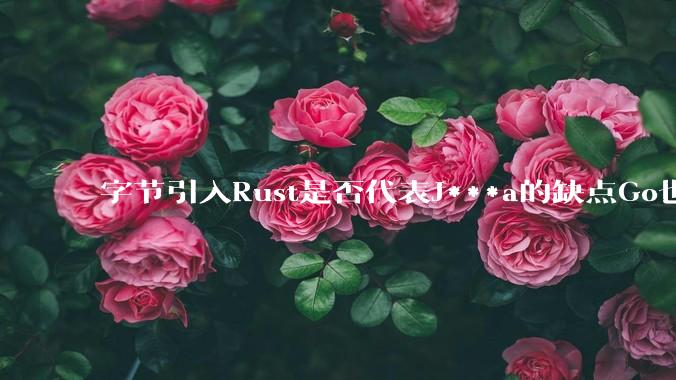 字节引入Rust是否代表J***a的缺点Go也没解决？