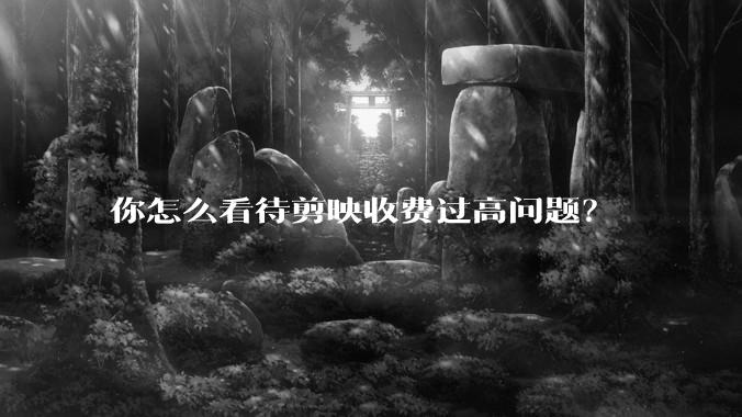 你怎么看待剪映收费过高问题？