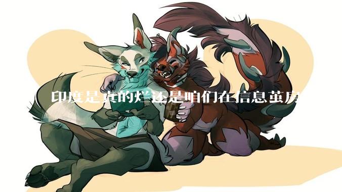印度是真的烂还是咱们在信息茧房里面？