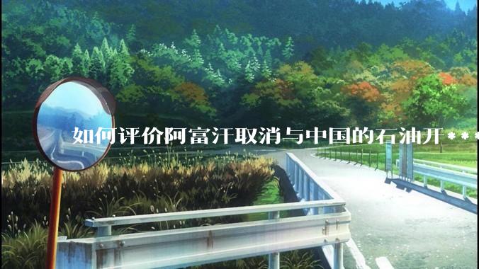 如何评价阿富汗取消与中国的石油开***合同？
