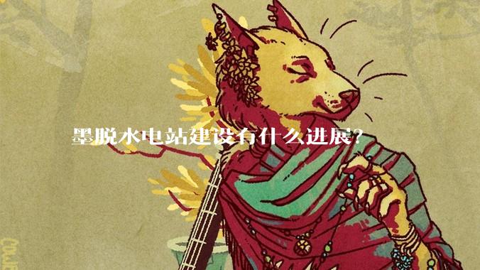 墨脱水电站建设有什么进展？