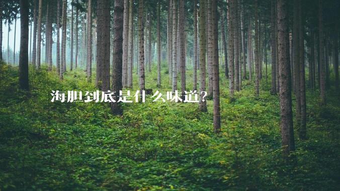 海胆到底是什么味道？