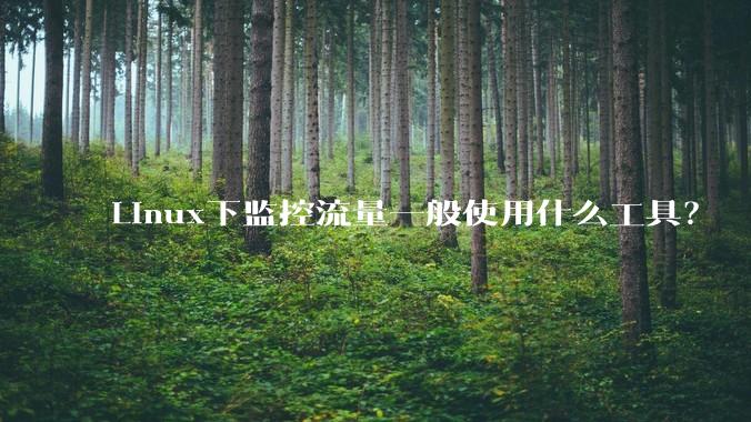 Linux下监控流量一般使用什么工具？