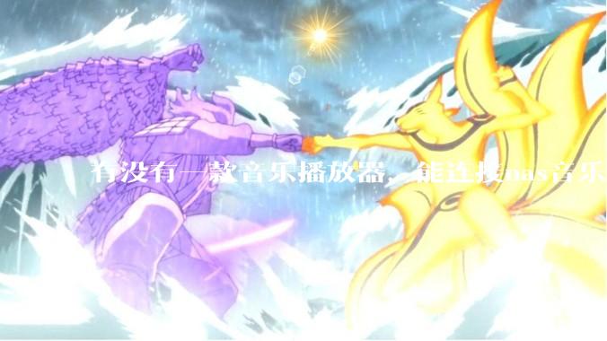 有没有一款音乐播放器，能连接nas音乐，创建音乐库，自动匹配歌词封面等等？类似infuse的概念呢？