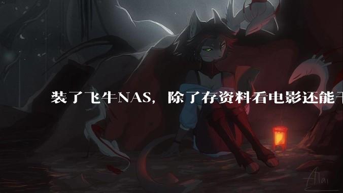装了飞牛NAS，除了存资料看电影还能干什么？