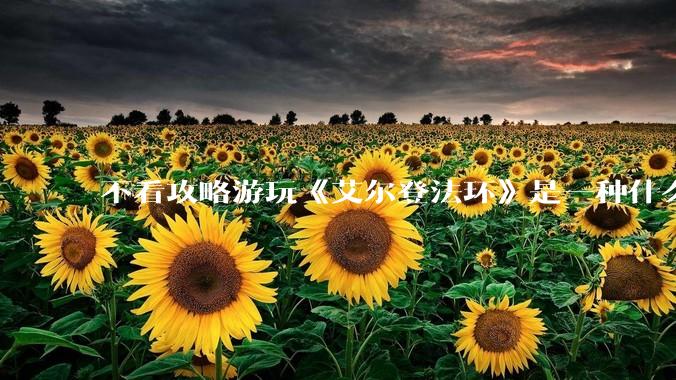 不看攻略游玩《艾尔登法环》是一种什么体验？