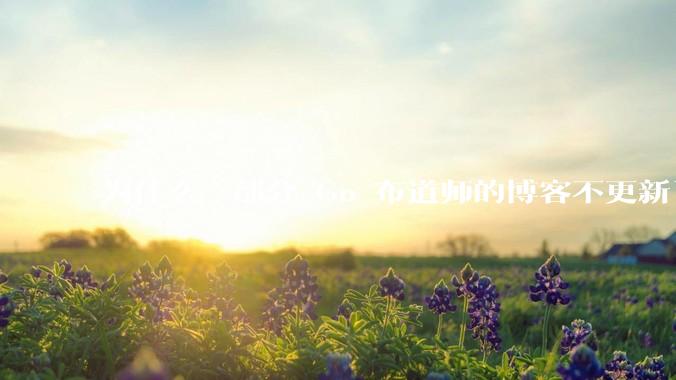 为什么一部分 Go 布道师的博客不更新了？