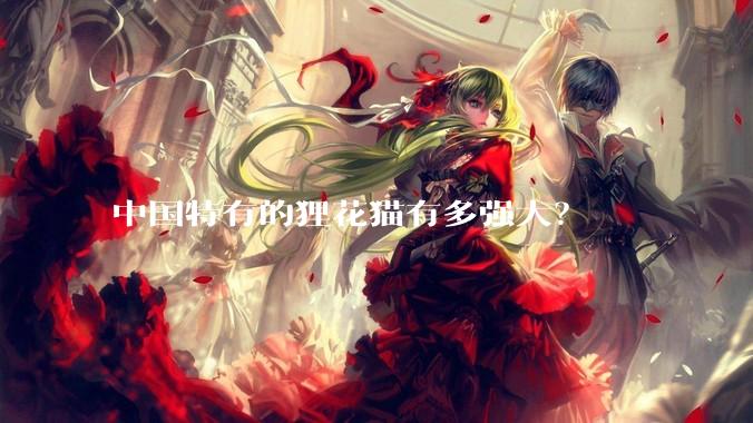 中国特有的狸花猫有多强大？
