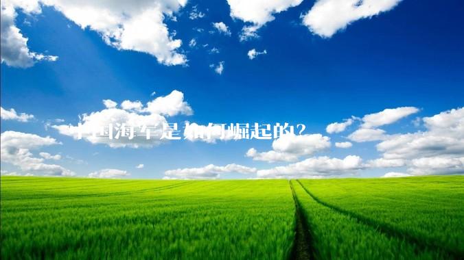 中国海军是如何崛起的？