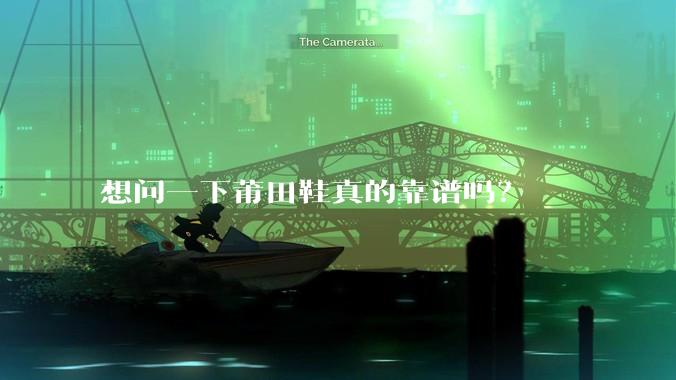 想问一下莆田鞋真的靠谱吗？
