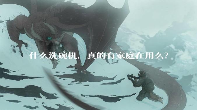 什么洗碗机，真的有家庭在用么？