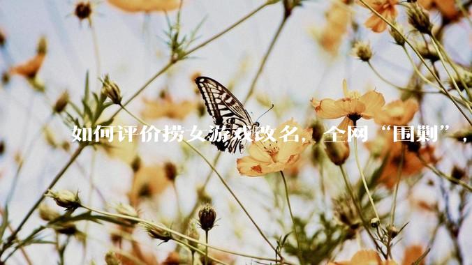 如何评价捞女游戏改名，全网“围剿”，以及导演b站账号被封这件事?